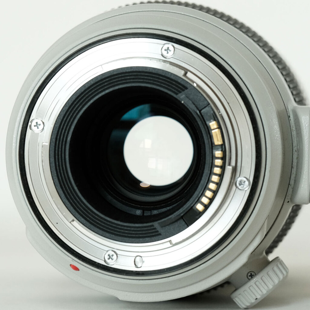 Canon EF100-400mm F4.5-5.6L IS II USM