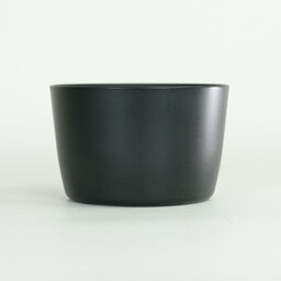 Canon EF-S55-250mm F4-5.6 IS II