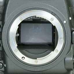 Nikon D5