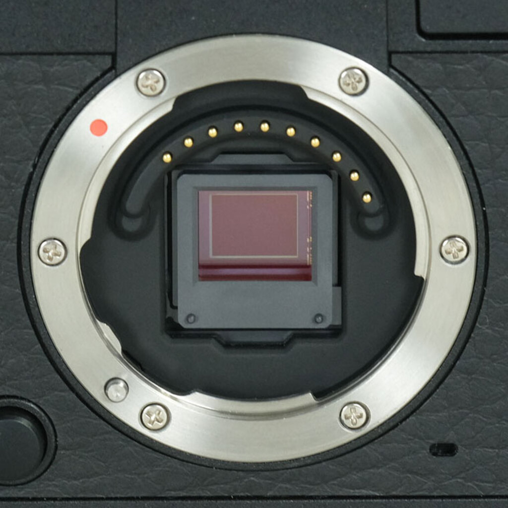 PENTAX Q-S1 ボディ ブラック×チャコールブラック