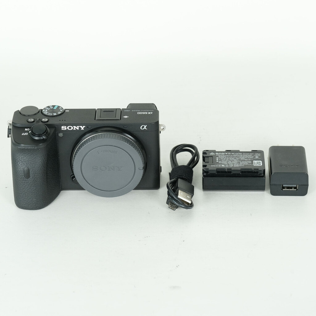 SONY α6600（ILCE-6600）の出品 | ONE SCENE（ワンシーン）