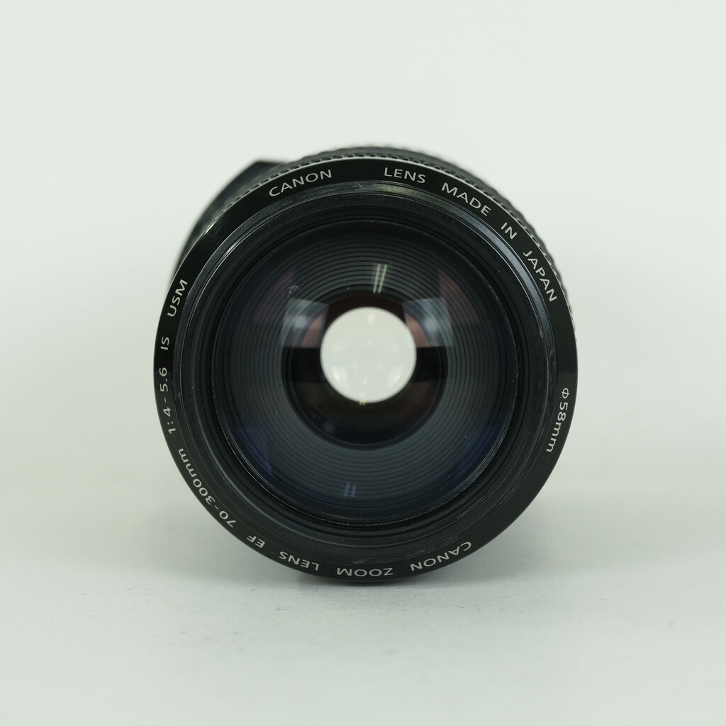 Canon EF70-300mm F4-5.6 IS USM Canon EF70-300mm F4-5.6 IS USM