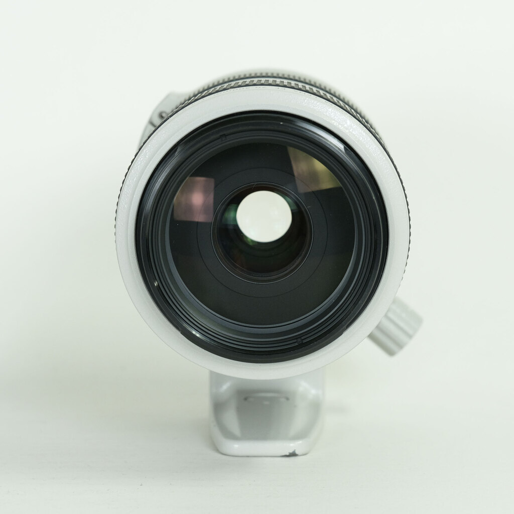 Canon EF70-300mm F4-5.6L IS USM