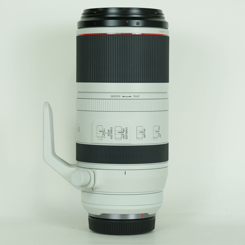 Canon RF100-500mm F4.5-7.1L IS USM
