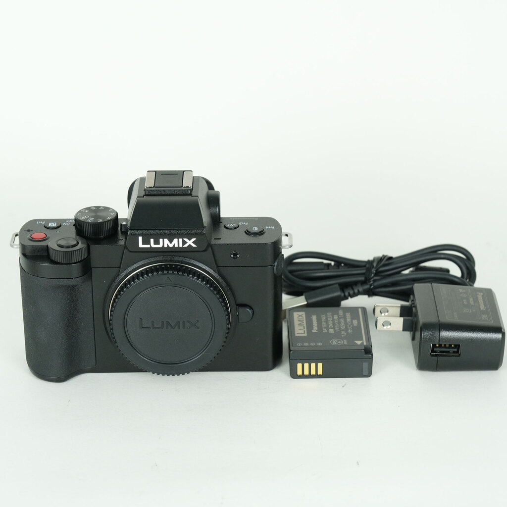 Panasonic LUMIX DC-G100D ボディの出品 | ONE SCENE（ワンシーン）