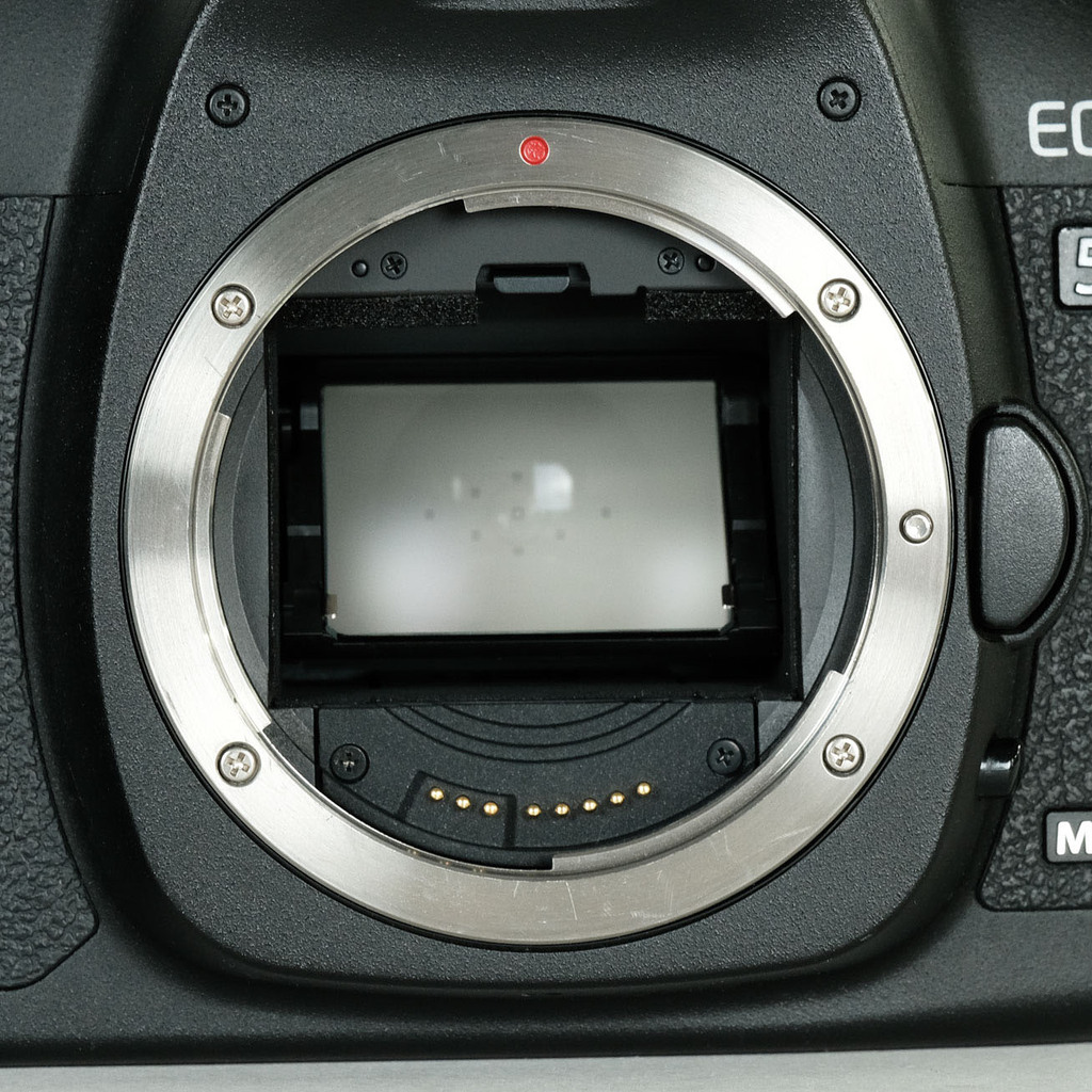 Canon EOS 5D MarkII ボディ
