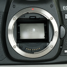 Canon EOS 5D MarkII ボディ