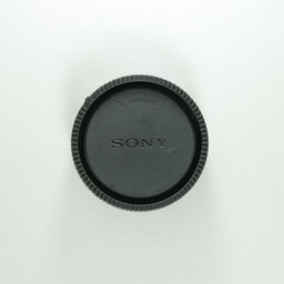 SONY Vario-Tessar T＊ E 16-70mm F4 ZA OSS SEL1670Z