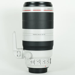 Canon EF100-400mm F4.5-5.6L IS II USM