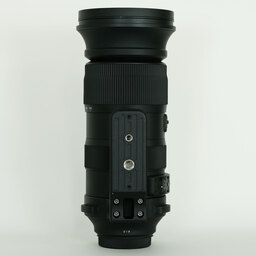 SIGMA 60-600mm F4.5-6.3 DG OS HSM | Sports [キヤノン用]