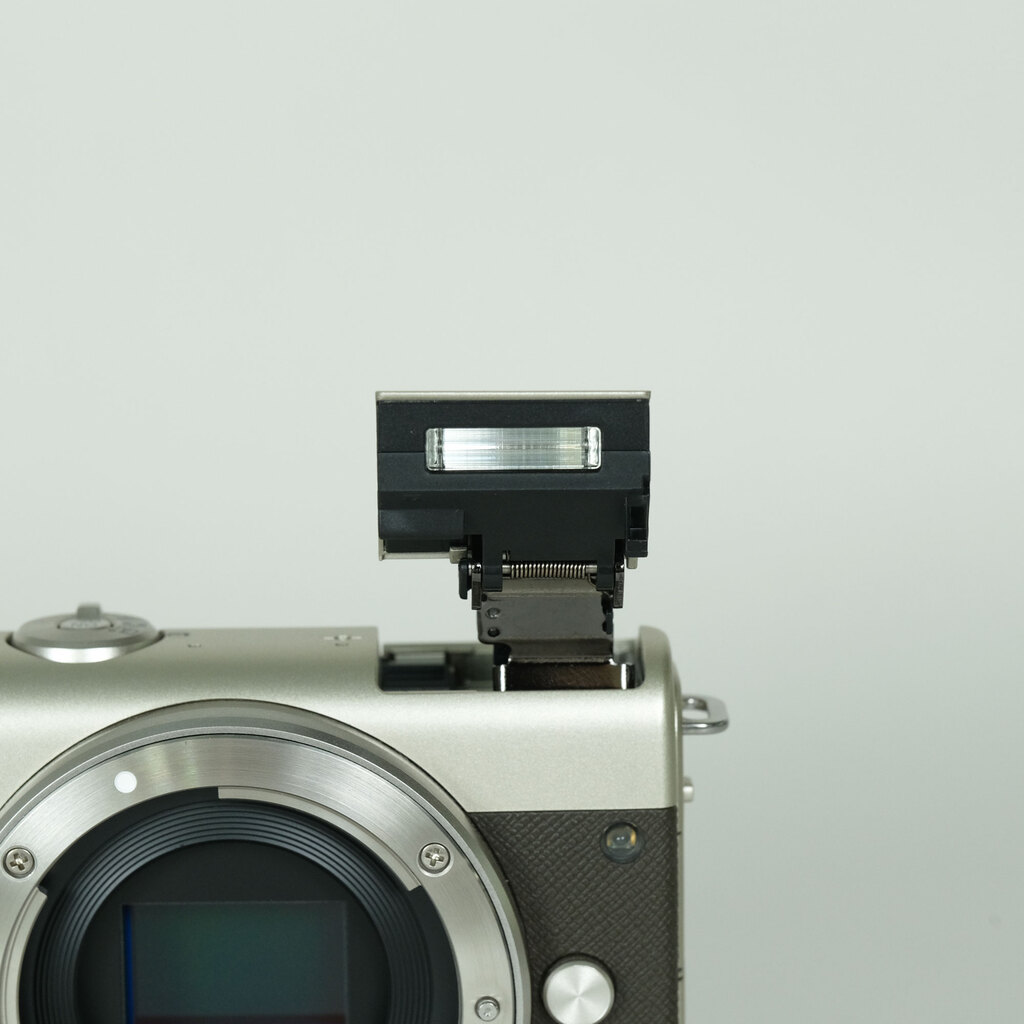 Canon EOS M200 ボディ リミテッドゴールドの出品 | ONE SCENE（ワン