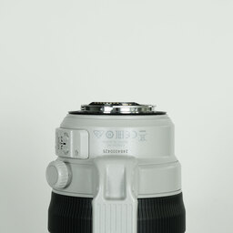 Canon EF100-400mm F4.5-5.6L IS II USM