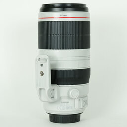 Canon EF100-400mm F4.5-5.6L IS II USM