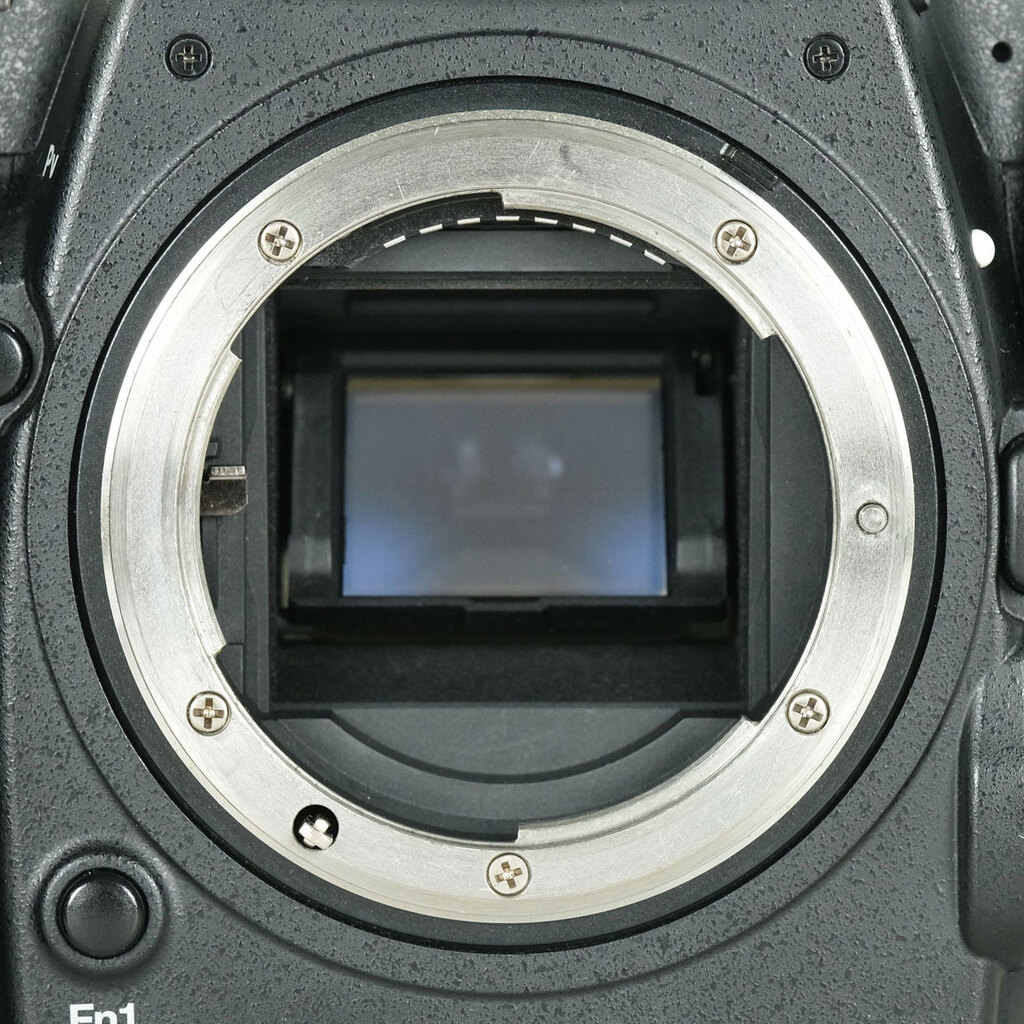 Nikon D500