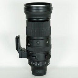 SIGMA 150-600mm F5-6.3 DG DN OS｜Sports [ソニーE用]