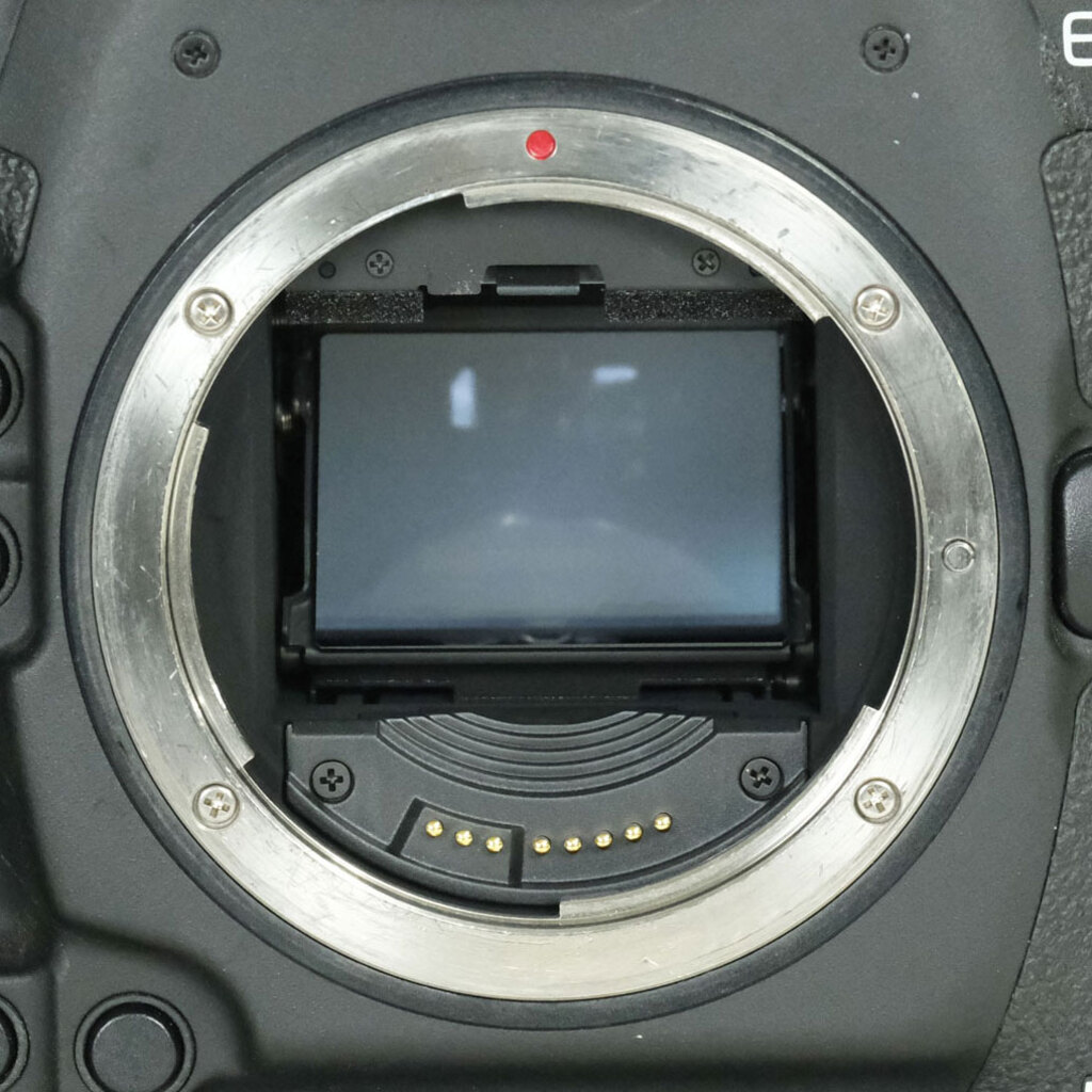 Canon EOS-1D X Mark II