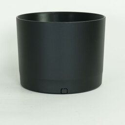Canon RF200-800mm F6.3-9 IS USM