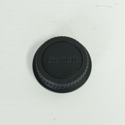 Canon EF24-105mm F4L IS II USM