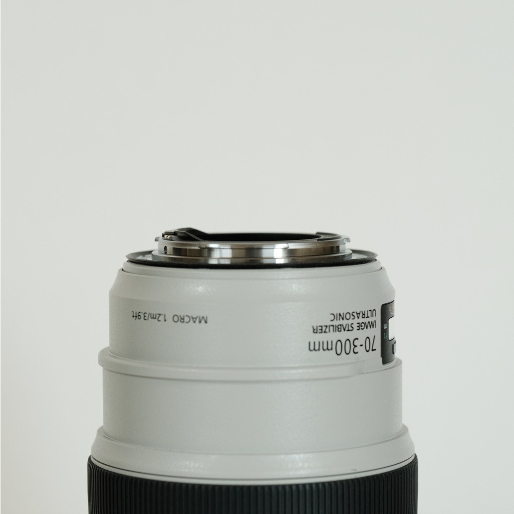 Canon EF70-300mm F4-5.6L IS USM