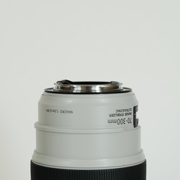 Canon EF70-300mm F4-5.6L IS USM