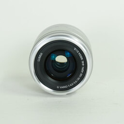 Panasonic LUMIX G VARIO 35-100mm / F4.0-5.6 ASPH. / MEGA O.I.S.
