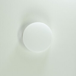 Nikon AF-P DX NIKKOR 70-300mm f/4.5-6.3G ED VR