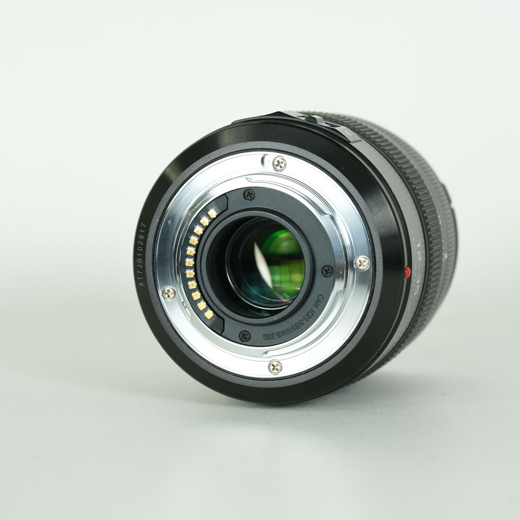 Panasonic LUMIX G X VARIO 12-35mm / F2.8 II ASPH. / POWER O.I.S.