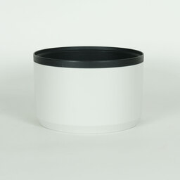 Canon RF70-200mm F4 L IS USM