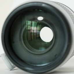 Canon EF100-400mm F4.5-5.6L IS II USM