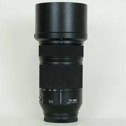 Panasonic LUMIX S 70-300mm F4.5-5.6 MACRO O.I.S.