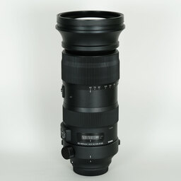 SIGMA 60-600mm F4.5-6.3 DG OS HSM | Sports [キヤノン用]