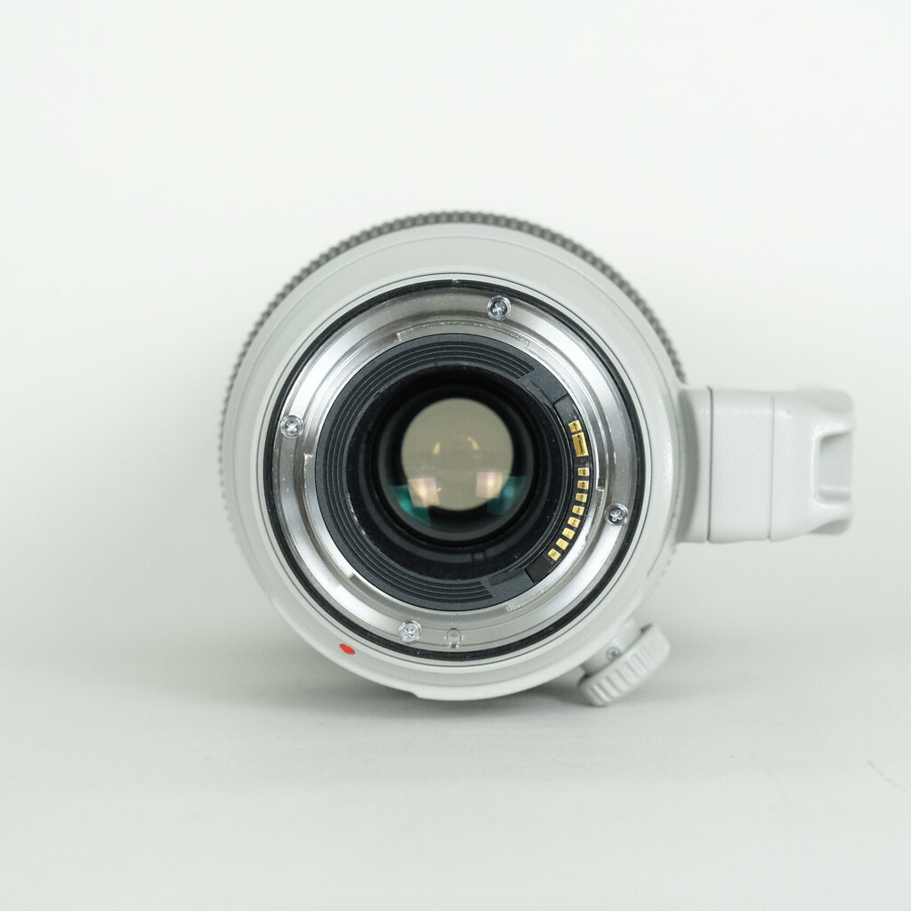 Canon EF100-400mm F4.5-5.6L IS II USM