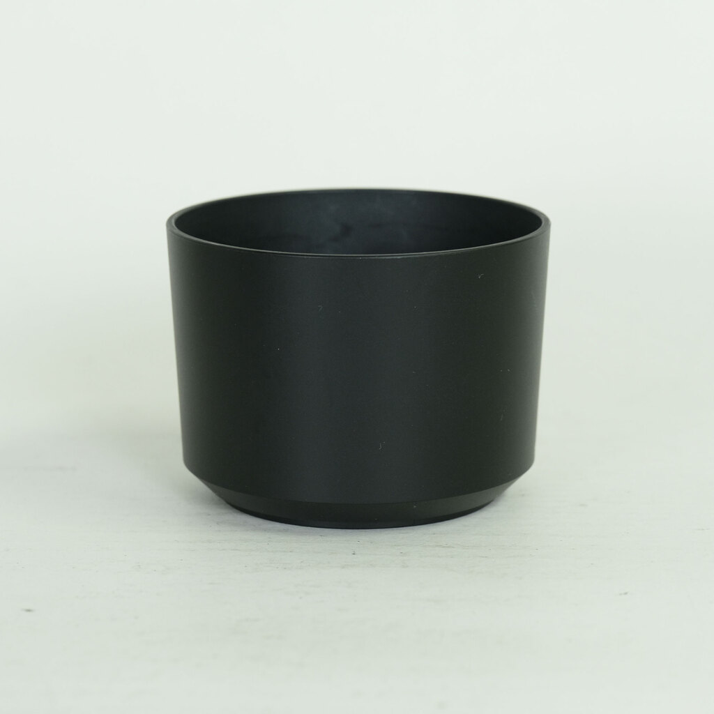 SONY E 55-210mm F4.5-6.3 OSS SEL55210