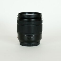 Panasonic LUMIX G VARIO 12-60mm / F3.5-5.6 ASPH. / POWER O.I.S.