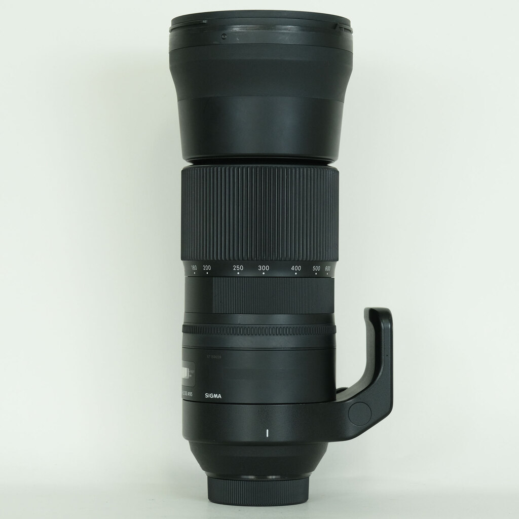 SIGMA 150-600mm F5-6.3 DG OS HSM｜Contemporary [ニコンF用]