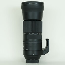 SIGMA 150-600mm F5-6.3 DG OS HSM｜Contemporary [ニコンF用]