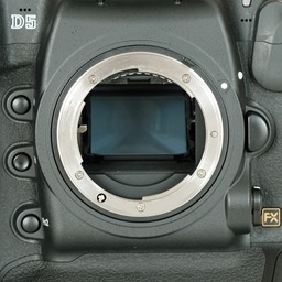 Nikon D5