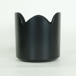 SONY 70-300mm F4.5-5.6 G SSM SAL70300G