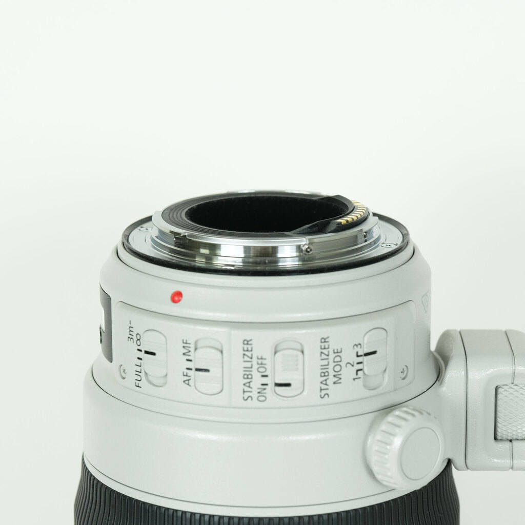 Canon EF100-400mm F4.5-5.6L IS II USM