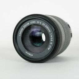 Canon EF-S55-250mm F4-5.6 IS STM