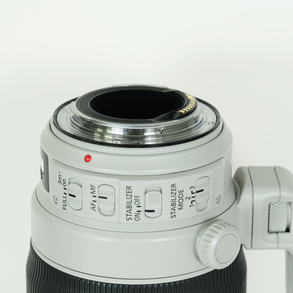 Canon EF100-400mm F4.5-5.6L IS II USM