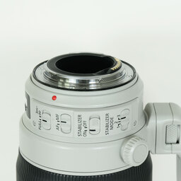 Canon EF100-400mm F4.5-5.6L IS II USM