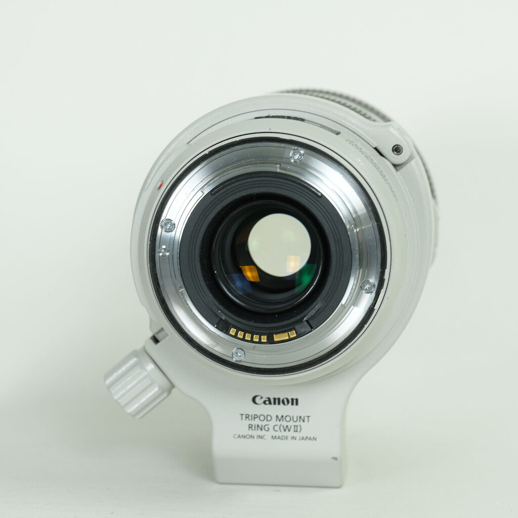 Canon EF70-300mm F4-5.6L IS USM