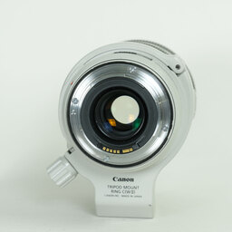 Canon EF70-300mm F4-5.6L IS USM