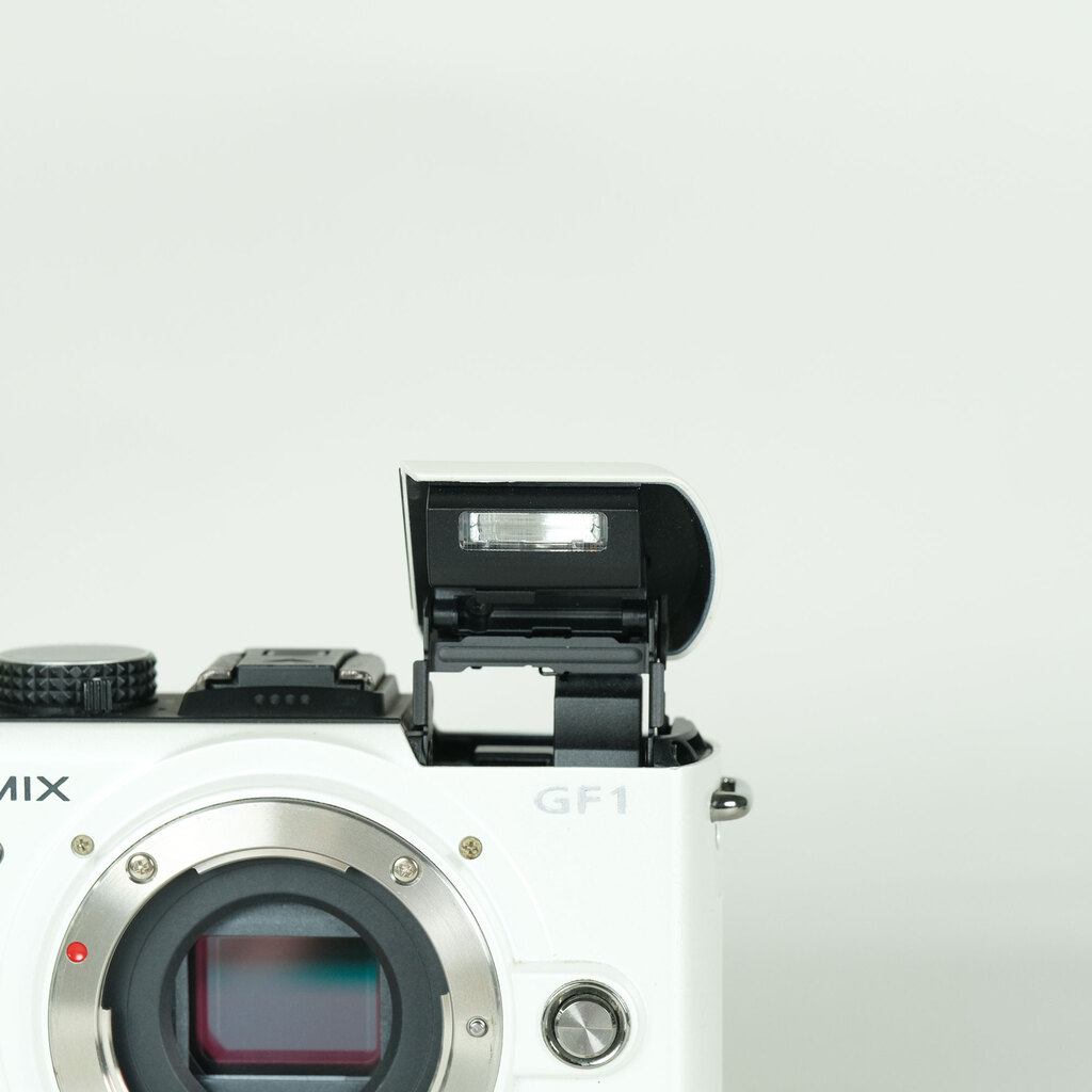 Panasonic LUMIX DMC-GF1 ボディ シェルホワイト