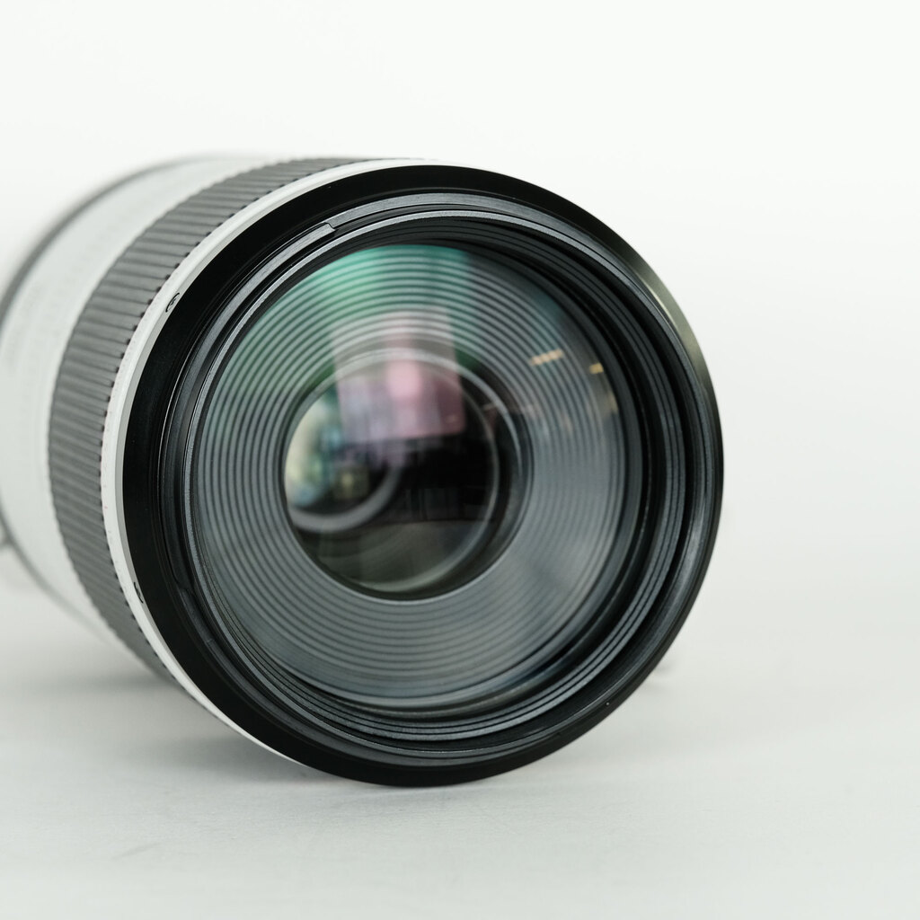 Canon RF100-500mm F4.5-7.1L IS USM