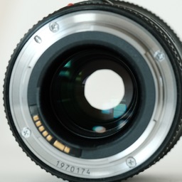 Canon EF100mm F2.8Lマクロ IS USM