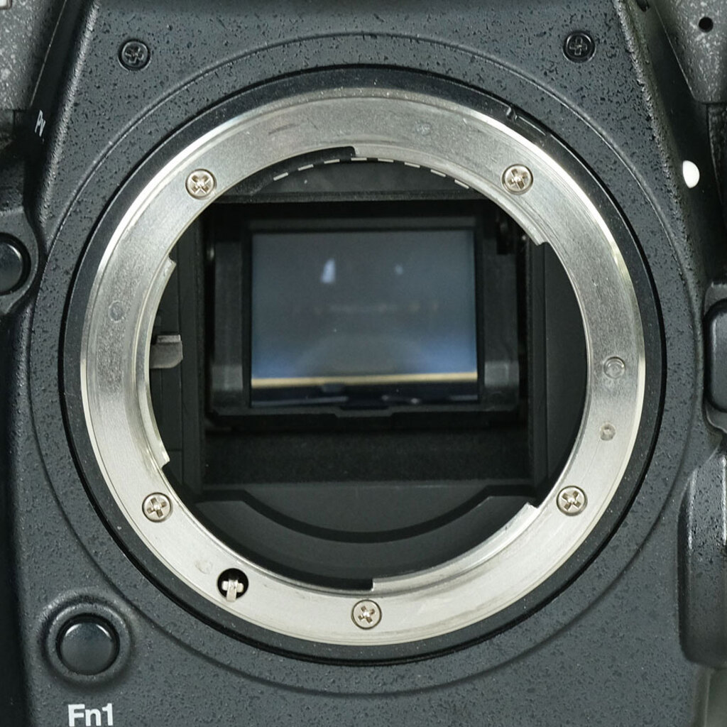 Nikon D500