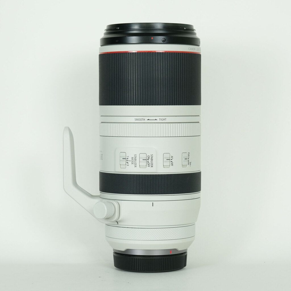 Canon RF100-500mm F4.5-7.1L IS USM