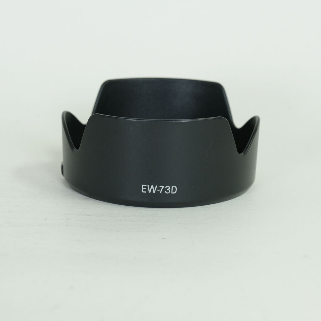 Canon RF24-105mm F4-7.1 IS STM